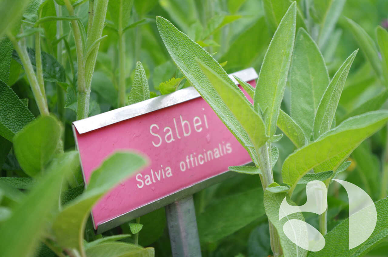 Stimmhygiene: Tipps zur Stimmpflege dienen der Gesunderhaltung der Stimme