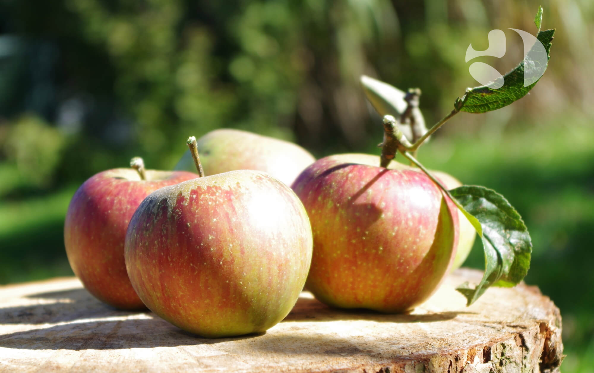 Eine gesunde Stimme ist eine wichtige Voraussetzung für Berufssprecher.