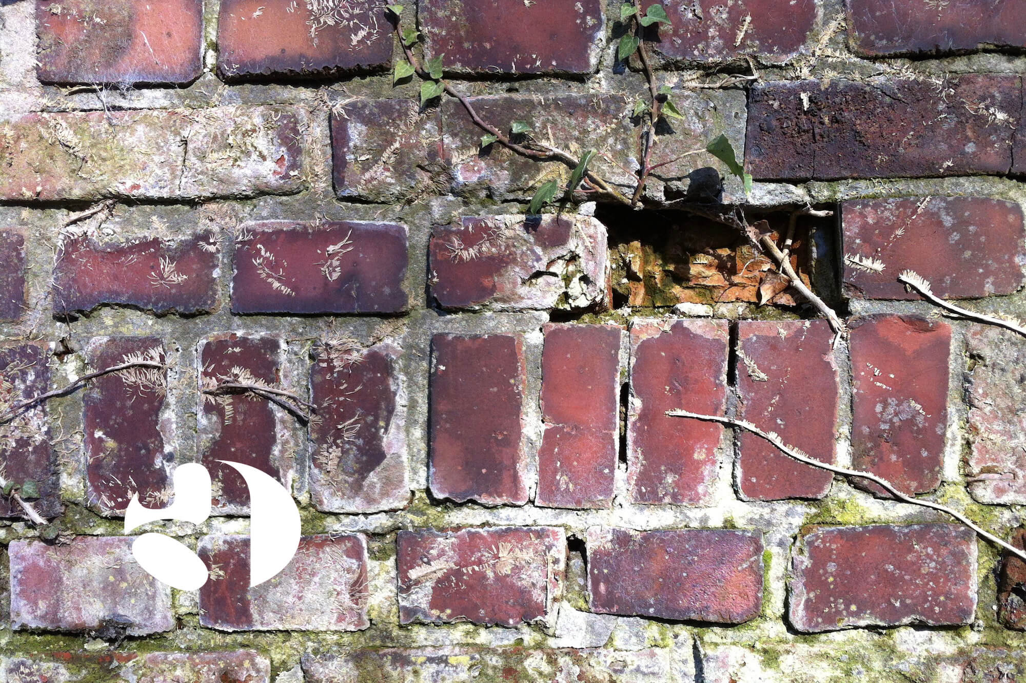 Plötzlicher Sprachverlust durch Aphasie. Sprachtherapie unterstützt die sprachliche Reorganisation nach Schlaganfällen.